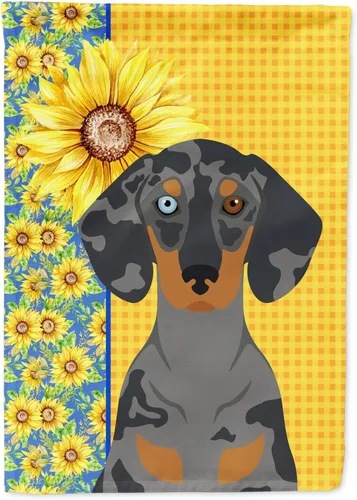Miniatura 315 de Caroline's Treasures WDK5331CHF - Bandera de verano con diseño de girasoles rojos y blancos, manga grande, para porche, para colgar en la pared