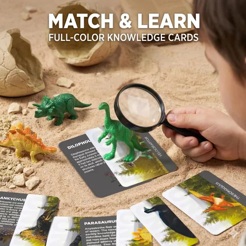Miniatura 6 de Uregoio Kit de Excavación de 12 Huevos de Dinosaurio Juguetes para Niños, Kit de Excavación Sorpresa de Huevos de Dinosaurio con Lupa, Regalos