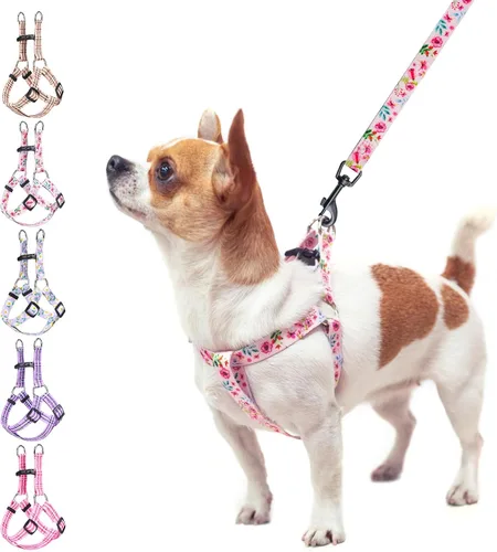 Miniatura 12 de BEAUTYZOO Juego de arnés y correa para perro pequeño sin tirones, arnés de nailon ligero para cuello y pecho ajustable para perros, niñas y niños