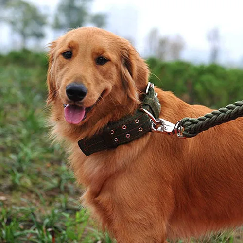 Miniatura 6 de Love Dream Collar militar ajustable para perro, collares tácticos de nailon con anillo en D de metal y hebilla para perros grandes y extragrandes