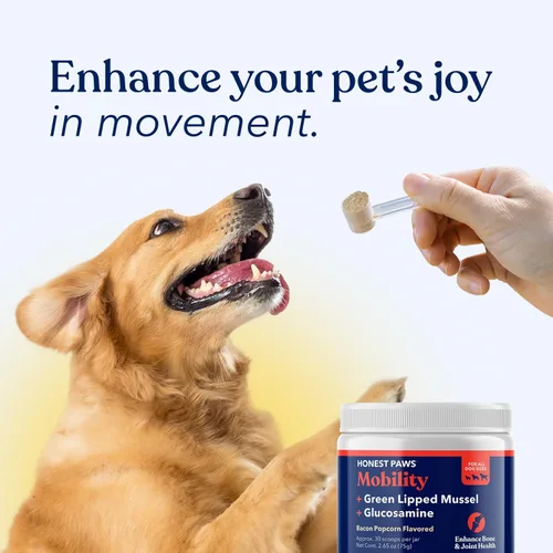 Miniatura 9 de Honest Paws Glucosamina para perros - Suplemento en polvo para articulaciones y movilidad con mejillón de labios verdes, aceite de pescado y MSM