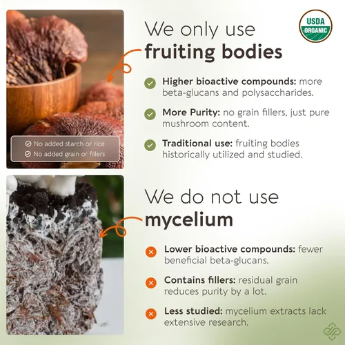 Miniatura 5 de Longevity Botanicals Cápsulas orgánicas de hongos Reishi Extracto de suplemento de 120 unidades Cuerpo fructífero de Ganoderma Lucidum ≥30%