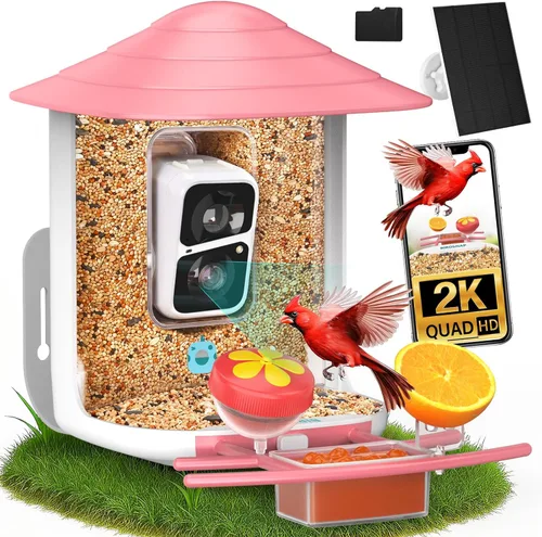 Miniatura 16 de birdsnap® TUC - Comedero para pájaros con cámara 2K HD en vivo con tarjeta de 32 GB, detección y notificación automática de inteligencia artificial