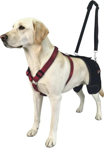 Miniatura 3 de Soporte de cadera transpirable para perros grandes, soporte ortopédico canino ajustable para displasia de cadera, perfecto para apoyar a
