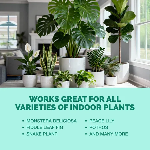 Miniatura 6 de TPS NUTRIENTS Alimento Líquido para Plantas de Interior para Plantas de Casa, Fertilizante Líquido, 32 oz (1 Quart)