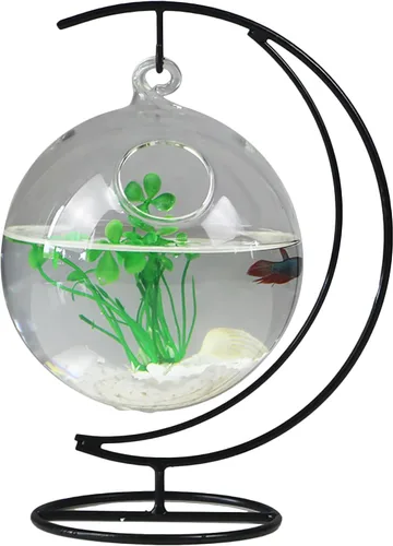 TITA-DONG Simple pecera colgante de escritorio, pecera creativa de vidrio transparente con soporte de metal, acuario de peces pequeño para