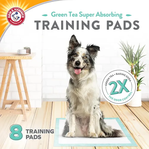 Miniatura 2 de Arm & Hammer Green Tea - Almohadillas de entrenamiento para mascotas, 8 unidades, súper absorbentes con té verde y bicarbonato de sodio, control