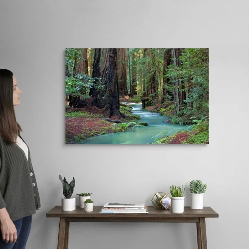 Miniatura 2 de Redwood Forest II - Lienzo decorativo para pared, diseño de árbol 2-Lienzo envuelto