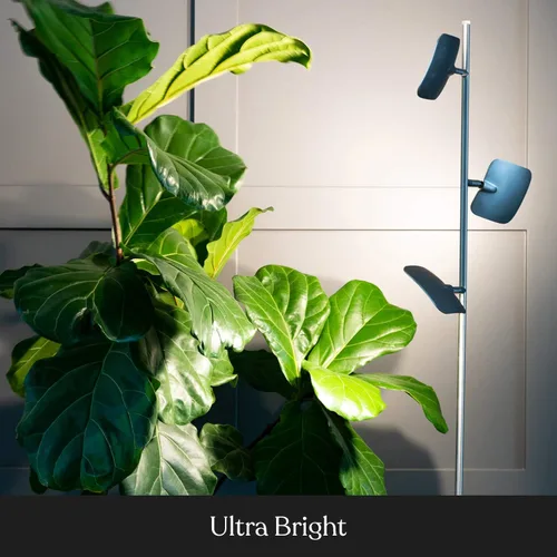 Miniatura 7 de Brightech Tree - Lámpara de pie con 3 luces regulables de 3 pasos con interruptor táctil regulable - Tecnología LED avanzada con 23 vatios