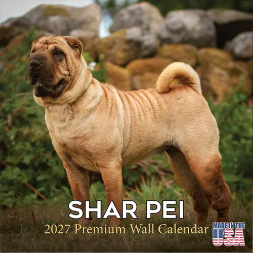 Miniatura 88 de Calendario amarillo 2025 2026 de Labrador Pups – Calendario mensual de pared de raza de perro – 12" x 24" abierto – Papel grueso anti-traspaso