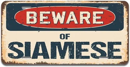 Miniatura 20 de SignMission Beware of Simmental Cattle - Placa de matrícula de aluminio de 12 x 6 pulgadas, se adapta a cualquier automóvil, camión, SUV, RV