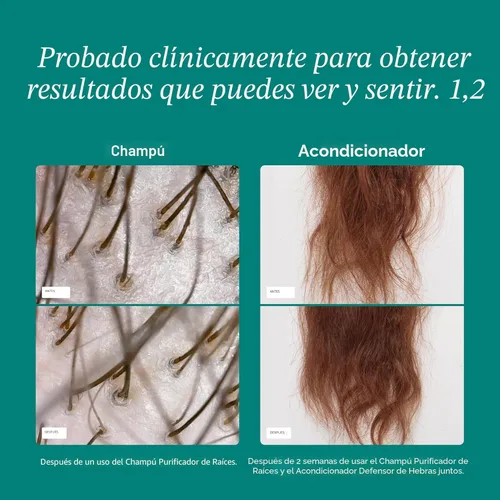 Miniatura 4 de Nutrafol Champú y acondicionador, limpia y protege el cabello y el cuero cabelludo, mejora el volumen, la fuerza y la textura del cabello, formulado