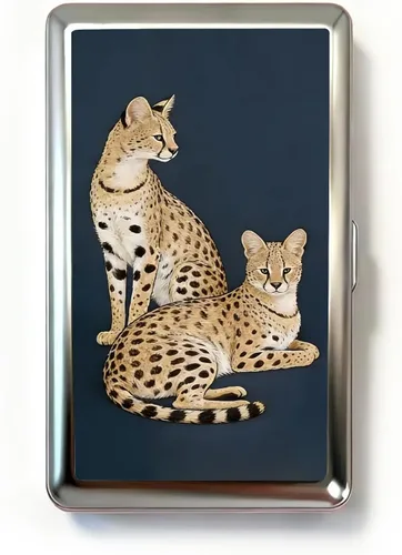 Miniatura 15 de Vintage Art Deco - Funda versátil para tarjetas y efectivo, cartera delgada de metal para mujeres y hombres, tarjetas de visita de identificación