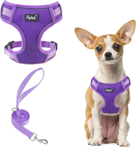 Miniatura 40 de PUPTECK Juego de arnés y correa para perro pequeño, arnés ajustable sin tirones para cachorro, chaleco de malla suave reflectante para mascotas