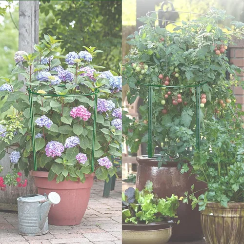 Miniatura 6 de Paquete de 10 estacas de soporte para plantas de 30 pulgadas, jaula de anillo de soporte de peonía semicircular resistente, estacas de metal