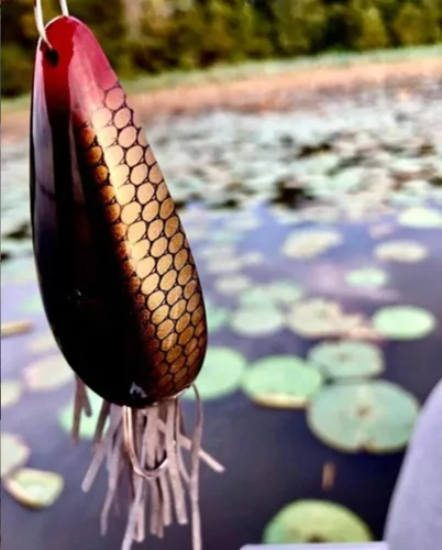 Miniatura 2 de Heddon Señuelo de pesca Moss Boss Topwater - Se desliza a través de una cubierta pesada