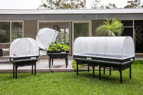 Miniatura 2 de vegepod - Cama de jardín elevada - Kit de jardín con contenedor de riego automático con cubierta protectora, fácilmente elevado a la altura