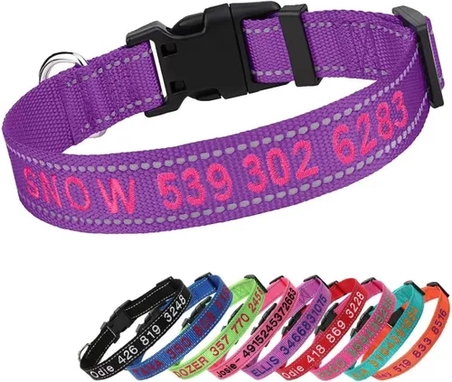 Collares de perro personalizados con nombre y número de teléfono, tamaño S ajustable para niños pequeños, niñas, perros, collar reflectante