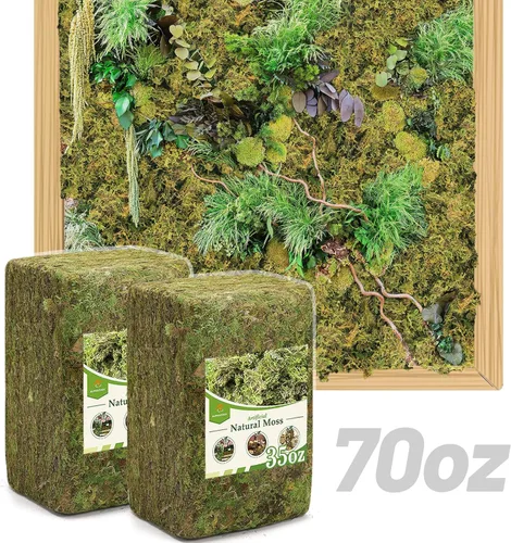 Miniatura 11 de Alphatool Musgo verde natural de 5 onzas para principiantes, musgo de inicio para plantas de interior, jardines de hadas artificiales, mini 5 oz