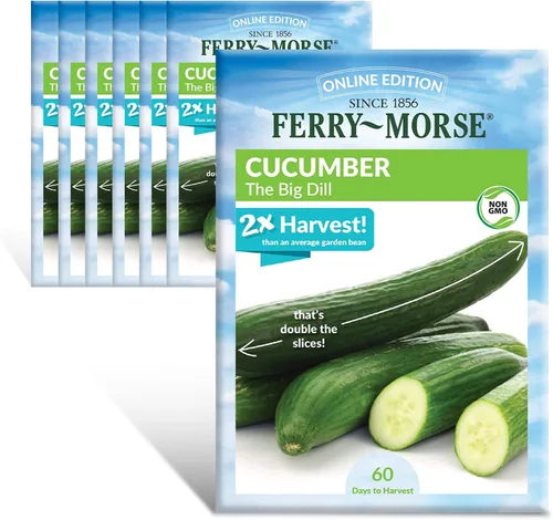 Miniatura 14 de Ferry-Morse Online Edition Tomato Supersweet 100 semillas híbridas – Alta tasa de germinación, sin OGM – Paquete de 8 Tomato Supersweet 100 Hybrid