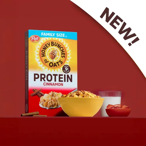 Miniatura 4 de Honey Bunches of Oats Cereal de proteína de canela, desayuno o aperitivo, tamaño familiar, 15 onzas (paquete de 1)