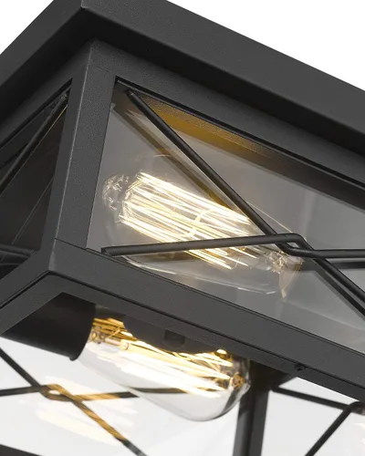 Miniatura 2 de Emliviar, lámpara de techo para interiores y exteriores, 0387B-CL