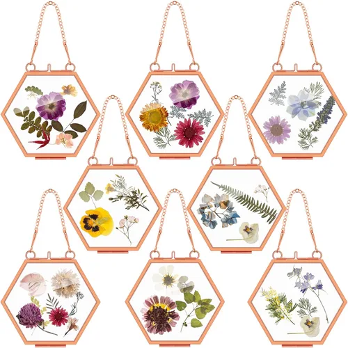 Miniatura 7 de Marsui 8 Piezas Marcos de Flores Prensadas 4 x 3 Pulgadas Marcos de Fotos Flotantes de Vidrio Colgantes para Flores Prensadas Vidrio Doble Imagen