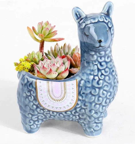Miniatura 4 de Lindas macetas suculentas de alpaca maceta de cerámica pequeña cactus maceta azul