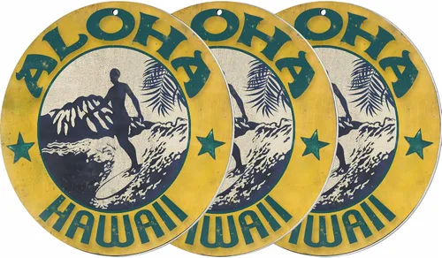 Brotherhood Aloha Hawaii Surfer Diamond Head - Letrero de garaje de metal con cabeza de diamante, decoración de estilo vintage, letrero de aluminio