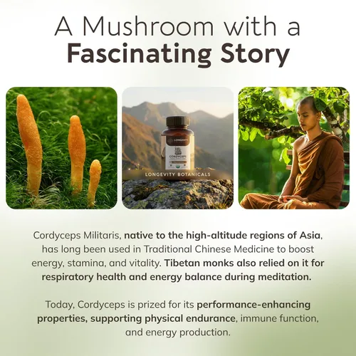 Miniatura 8 de Longevity Botanicals Cápsulas orgánicas de hongos Cordyceps Extracto de suplemento de 120 unidades Cuerpo fructífero Cordyceps Militaris ≥30%