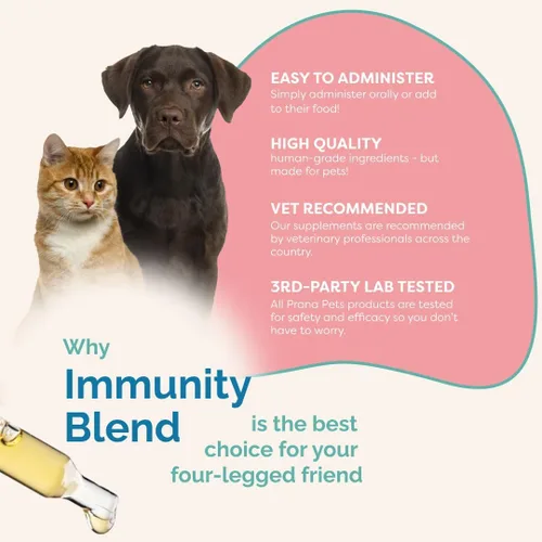 Miniatura 5 de PranaPets Suplemento de mezcla de inmunidad para perros y gatos Ayuda naturalmente a aliviar la fatiga y la debilidad en las mascotas Promueve