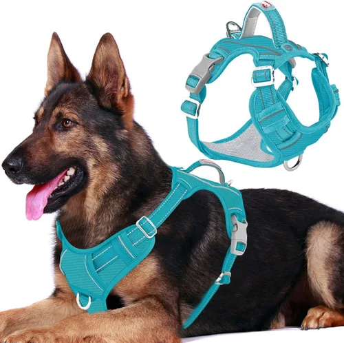 Miniatura 43 de BARKBAY Arnés para perro sin tirones con bolsillo para etiqueta de identificación, resistente, reflectante, fácil control para perros grandes