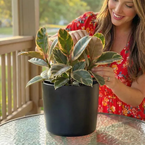 Miniatura 7 de Willowy Maceta de Cerámica Negra de 6 Pulgadas - Macetas de Cerámica Negra de 6 Pulgadas para Plantas como Aloe, Planta de Goma Bebé, Jade, Planta