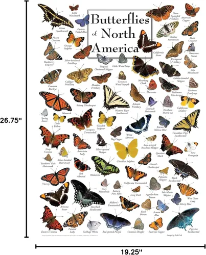 Miniatura 6 de MasterPieces Rompecabezas de 1000 piezas para adultos, familia o jóvenes, mariposas de América del Norte, 19.25 x 26.75 pulgadas