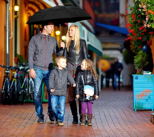 Miniatura 5 de EEZ-Y Folding Golf Umbrella