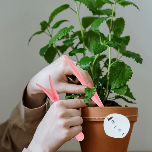Miniatura 8 de Garden Widger Dibber - Juego de 10 juegos al azar para el hogar, maceta, manualidades, plantación
