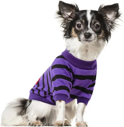 Miniatura 13 de Camiseta a rayas para perros y gatos, chaleco de algodón para primavera, verano, para mascotas, adecuada para mascotas pequeñas y medianas y Amarillo