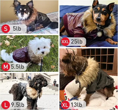 Miniatura 5 de Chamarra impermeable Lesypet de cuero para perro, abrigo invernal para perros pequeños y medianos, rojo vino