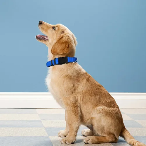 Miniatura 2 de Collar reflectante para perro, ajustable de neopreno suave acolchado de nailon para mascotas con hebilla para perros grandes, azul marino, talla L