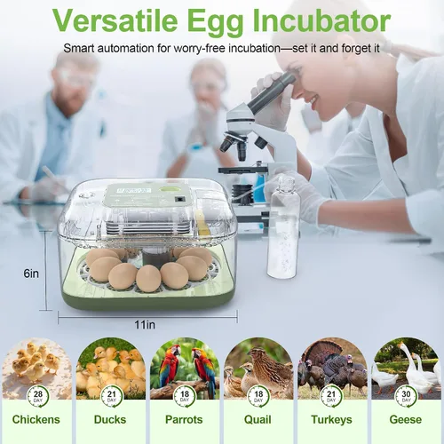 Miniatura 5 de Incubadoras para incubar huevos, capacidad de 12 huevos, incubadora de huevos con giro automático de huevos y control de humedad para todas las aves