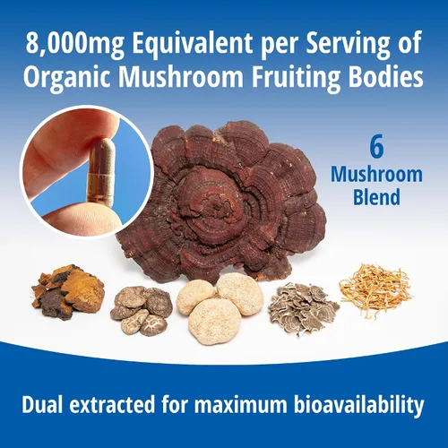 Miniatura 7 de ENCAPSULATE Mezcla de 6 hongos – Reishi, Chaga, cola de pavo, cordyceps, melena de león y extracto de hongo Shiitake 8:1 – Suplemento de hongos