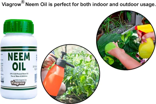 Miniatura 4 de Viagrow® Extracto orgánico de semillas de aceite de neem prensado en frío, protección natural de plantas (paquete de 1) / Un producto de The Harvest