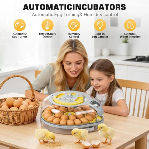 Miniatura 6 de IBKINXX Incubadora de 26 huevos para incubar huevos con guía de voz inteligente, vista de 360° con control automático de temperatura y humedad, giro
