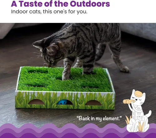 Miniatura 3 de Catstages Caja de Caza con Parche de Hierba - Juguete Interactivo para Gatos de Interior con Césped Sintético y 3 Bolas de Cascabel - Fomenta