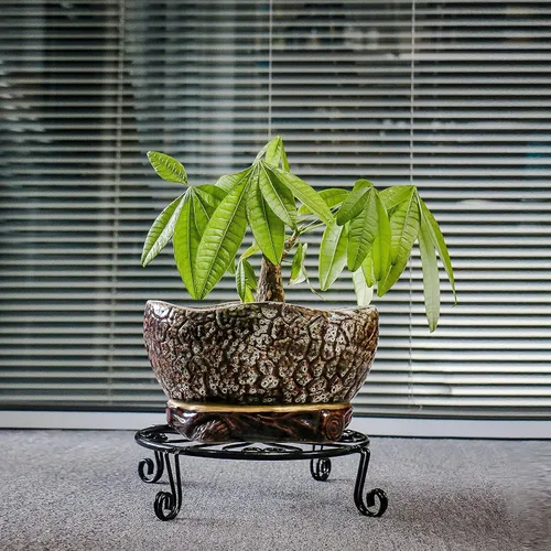 Miniatura 6 de NSYOOMH Paquete de 2 soportes de metal negro inoxidable de 10 pulgadas y 12 pulgadas para plantas resistentes al aire libre en interiores, soporte