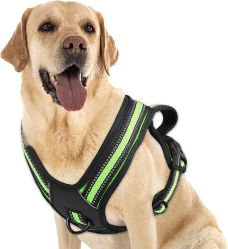 Miniatura 19 de Arnés para perro sin tirones, sin estrangulamiento, arnés para mascotas, ajustable, suave, acolchado, con asa de fácil control y tiras reflectantes