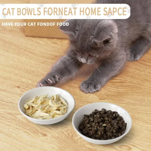 Miniatura 3 de HAPPY KIT 2 piezas Cuencos Pequeños para Gatos, Cuenco de Comida para Gatos de 5 Pulgadas para Gatos de Interior, Lindo Juego de Platos/Plato/Platos