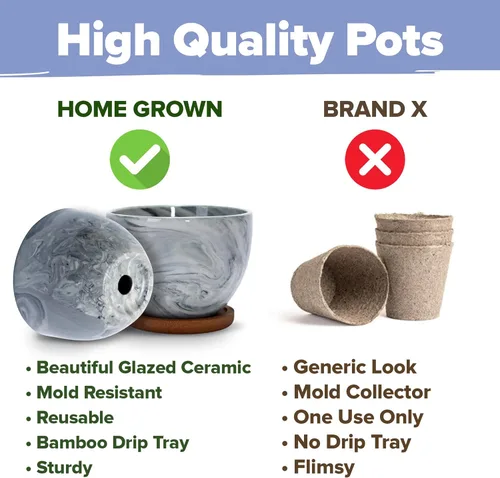 Miniatura 4 de HOME GROWN Kit de Árbol Bonsái – Juego Inicial Premium de Cerámica con 4 Variedades de Bonsái – Fácil Regalo de Jardinería Interior para Hombres