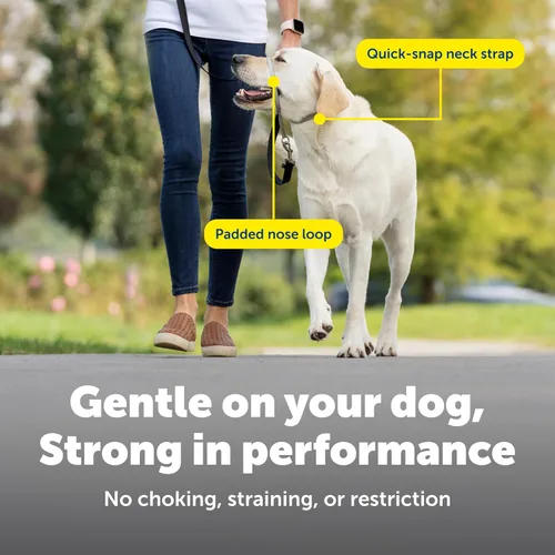 Miniatura 4 de Collar suave de conducción con DVD de entrenamiento PetSafe, Púrpura profundo Violeta intenso