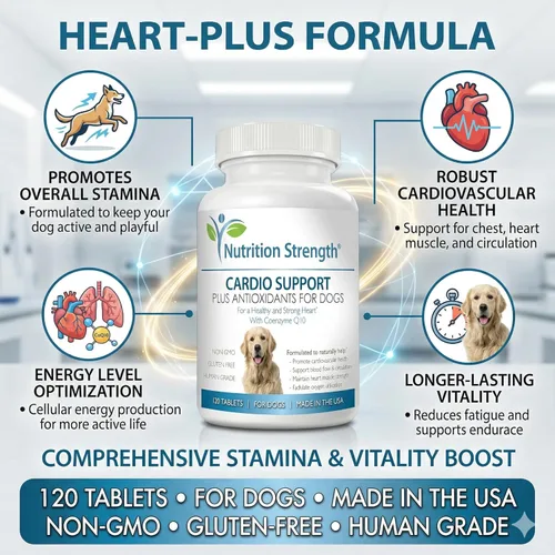 Miniatura 4 de Soporte cardiovascular para perros más antioxidante, L-carnitina, L-taurina, con coenzima Q10 y vitamina E, promueve un corazón de perro saludable